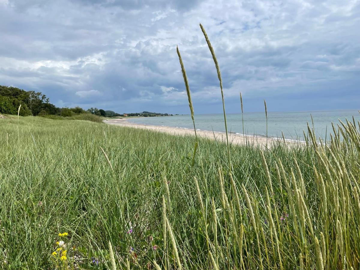 Laegenhet Soeder Om Landsvaegen A Appartement Skivarp Buitenkant foto